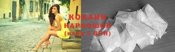 прущие грибы Балахна