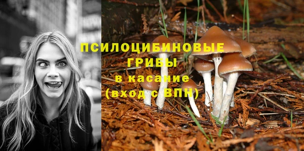 бутират Балабаново
