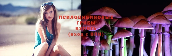 не бодяженный Белокуриха