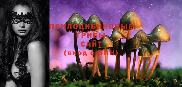 прущие грибы Балахна
