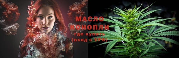 прущие грибы Балахна