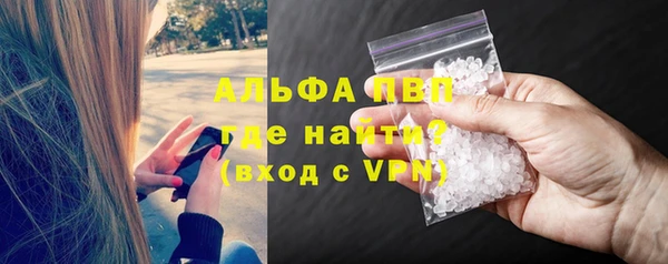 прущие грибы Балахна